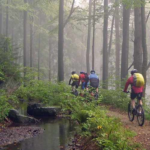 Mountainbike-Tour Bavarian Forest